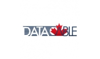 The Data Cable Co. Inc.