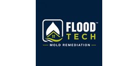 Mold Removal and Remediation Service