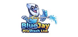 Blue Jay ProWash