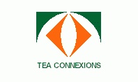 Connexions Trading International Inc.