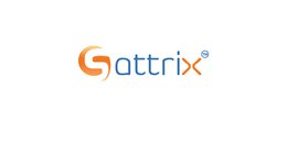 Sattrix Information Security Incorporation