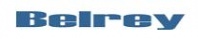 Belrey Power Services, Inc.