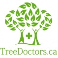 Tree Doctors