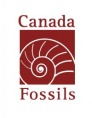 Canada Fossils