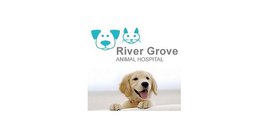 River Grove Animal Hospital