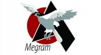 Megram Consulting Services Ltd.