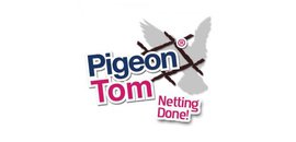 Pigeon Tom
