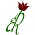 Antique Rose Flower Shop