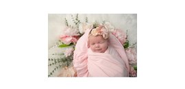 Magnolia Coasts Photography