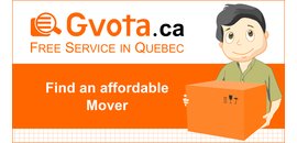 Gvota