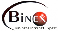 Binex Electronic Marketing Inc.