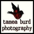 Tamea Burd Photography