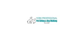 York Professional Pet Sitting & Dog Walking
