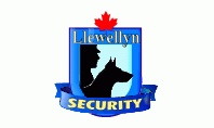 The Llewellyn Group Inc.