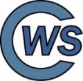 Custom Web Solutions