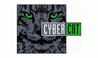 Cyber Cat inc.