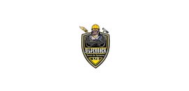 Silverback Torch On Systems Ltd