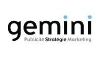 Gemini 3D Inc.