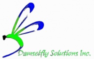 Damselfly Solutions Inc.