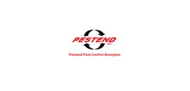 Pestend Pest Control Brampton