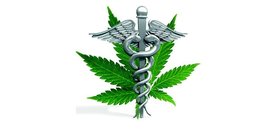 HOME OF MARIJUANA