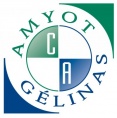 Amyot Gélinas Comptables Agréés / Conseillers d'Affaires