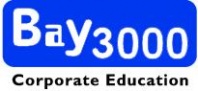 BAY3000