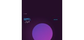 Gomel Digital Inc