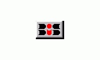 Buck Information Systems Inc.