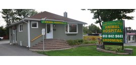 Montreal Road Animal Hospital