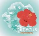 Hibiscus Tours International Ltd.