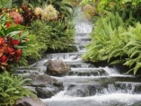 Alberta Aroma therapy Institute