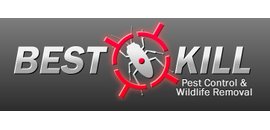 Pest Control Toronto Crew