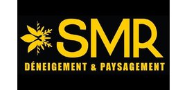 Transport SMR