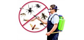 East York Pest Control