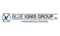 Blue Ignis Group Inc