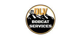 DLV Landscape Construction Inc.