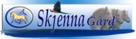 Skjenna Enterprises