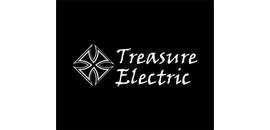 Treasure Auto Electric