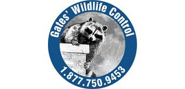 AAA Gates Wildlife Control