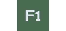 F1 ACCOUNTING INC