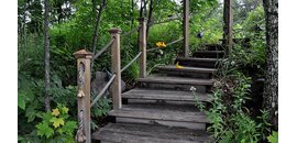 Greenestone Muskoka