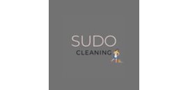 Sudo Cleaning