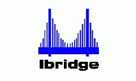 Ibridge Inc.