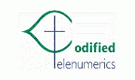 Codified Telenumerics Inc