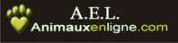 animaux en ligne.com