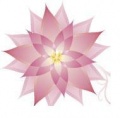 AK Coaching and Consulting