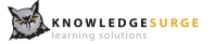 KnowledgeSurge Learning Solutions Inc.