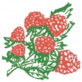 G.W. Allen Nursery Ltd.