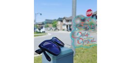 Dala optical